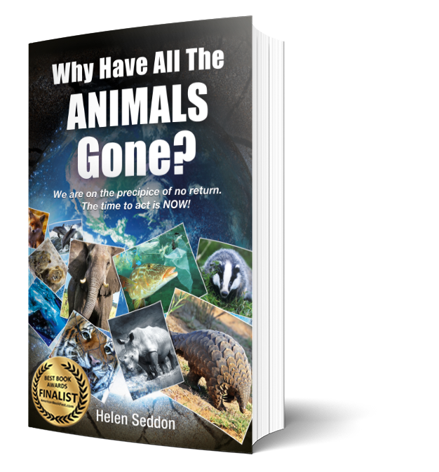 Why have all the animals gone?